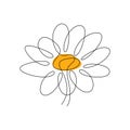 One single line drawing of beauty daisy flower isolated on white background. Beautiful flower concept hand draw design for posters