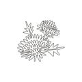 One single line drawing of beauty fresh chrysanthemum for garden logo. Printable decorative chrysanth flower concept for greeting