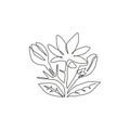 One single line drawing of beauty fresh evergreen jasmine flower for garden logo. Printable decorative poster jasminum for home Royalty Free Stock Photo