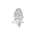 One single line drawing of beauty fresh hyacinthus for garden logo. Printable decorative hyacinth flower for home decor wall art