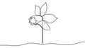 One single line drawing of beauty fresh narcissus for garden logo. Printable decorative daffodil flower Royalty Free Stock Photo