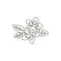 One single line drawing beauty fresh plumeria for home decor wall art poster print. Decorative frangipani flower concept for