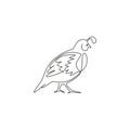 One single line drawing of funny valley quail for logo identity. California quail bird mascot concept for national conservation Royalty Free Stock Photo