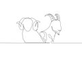 One single line drawing of goat and sheep head. Muslim holiday the sacrifice animal such as goat, camel, sheep and cow, Eid al