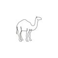 One single line drawing of strong desert Arab camel for logo identity. Cute mammal animal concept for livestock husbandry icon.