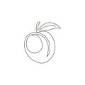 One single line drawing of whole healthy organic apricot for orchard logo identity. Fresh fruitage concept for fruit garden icon.