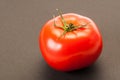 One single perfect red tomato on dark table or background