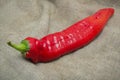 One single red pepper lies on sackcloth