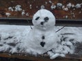 snowman in a white snow nature