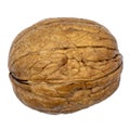 One single walnut in uncracked nutshell