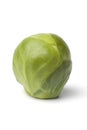 One single whole Brussels sprout