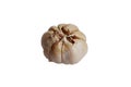 One single whole bulb of white garlic as vegetable cooking ingredient with closed cloves, peeled skin, white isolated background