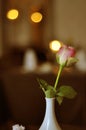 One singular pink rose with green leaves in white vase on a table in restaurant. Romantic feeling with flowers and candles in the