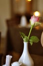 One singular pink rose with green leaves in white vase on a table in restaurant. Romantic feeling with flowers and candles in the