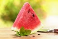 One slice of delicious watermelon - summer refreshment snack