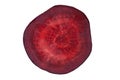 One slice of fresh raw ripe beetroot red color ingredient for cooking breakfast or dinner isolated Royalty Free Stock Photo