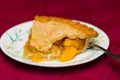 One slice of peach pie one a plate