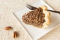 Slice of Homemade Pecan Pie Royalty Free Stock Photo