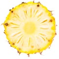 One Slice of Ripe Pineapple Royalty Free Stock Photo