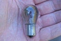one small burnt out glass electric gray black light bulb