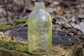 one small dirty glass old gray green bottle