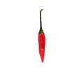 one small red hot chili pepper on a white background. Royalty Free Stock Photo