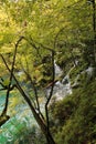 One of the small waterfalls at Plitvice Lakes National Park Royalty Free Stock Photo