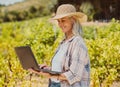 One smiling senior farmer holding and using a laptop on her vineyard. Happy elderly Caucasian woman browsing the