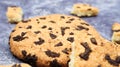 One soft, freshly baked chocolate chip cookie on a gray marble kitchen countertop. American traditional dessert. Delicious sweet