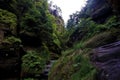 One of some wild parts on the Wild Hell trail in Saxon Switzerland
