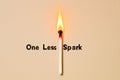 One Less Spark Extinguished Match A single match extinguished Symbolizing loss ending finality silence and the absence of