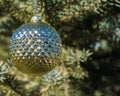 One colorful Christmas ornament hanging on pine tree branches Royalty Free Stock Photo