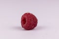 One splattered with water red organic juicy raspberry front view