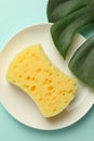 One sponge, plate and monstera leaf on light blue background, top view Royalty Free Stock Photo