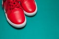 One sport red sneakers on blue background Royalty Free Stock Photo