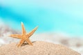 One Starfish on beach sand, close-up view Royalty Free Stock Photo