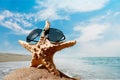 One Starfish on beach sand, close-up view Royalty Free Stock Photo