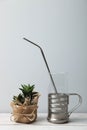 One steel straw, zero waste Royalty Free Stock Photo