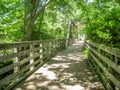 Virginia Creeper Trail near Damascus, Virginia Royalty Free Stock Photo