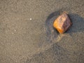 One stone on a background of black sand. The silence of the wild beach. Stones on the sandy beach. Black sand in the sun close-up
