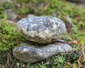 One stone on the other on the moss in the forest symbolizing stability and tranquility