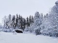 A one-storey wooden house - a bathhouse made of a round dark-colored log in the snow among snow-covered trees