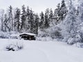 A one-storey wooden house - a bathhouse made of a round dark-colored log in the snow among snow-covered trees