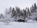 A one-storey wooden house - a bathhouse made of a round dark-colored log in the snow among snow-covered trees