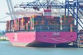 ONE STORK Container Ship