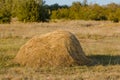 One straw stack. Photo close-up in summer