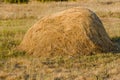 One straw stack. Photo close-up in summer