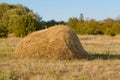 One straw stack. Photo close-up in summer