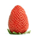 One strawberry Royalty Free Stock Photo