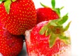 One strawberry into ice Royalty Free Stock Photo
